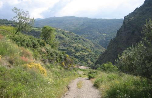 Cortijo Opazo - Foto 30