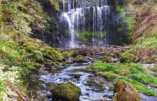 Finlaystone Family Barn - Foto 3