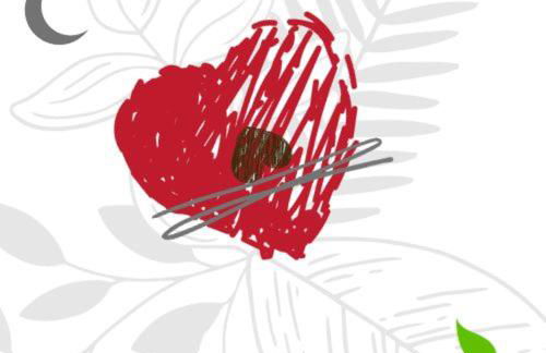 Baita Amiata - Foto 4