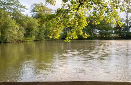 Schillhörn - Urlaub mit Wasserblick - Photo 32