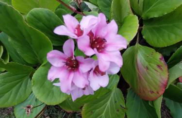 Sítio da Assumada - Foto 50