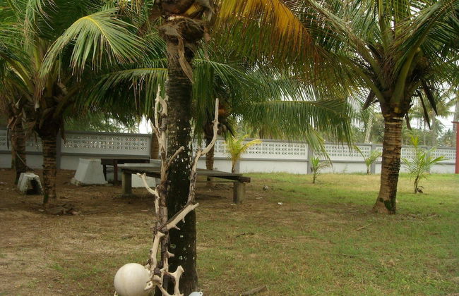 Bayu Beach Penarek - Foto 15