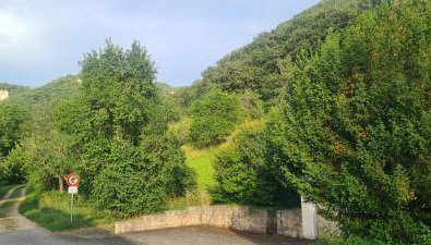 Apartment Am Tobelbach - Foto 4
