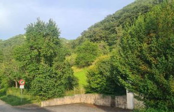 Apartment Am Tobelbach - Foto 4