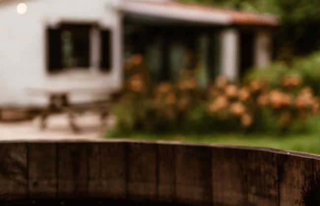 La Petite For t Cottage in Brussels Countryside - Foto 57