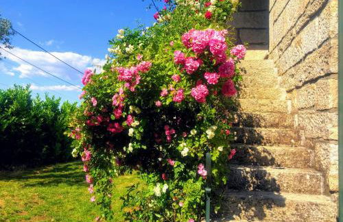 A Casa da Celeste - Foto 32