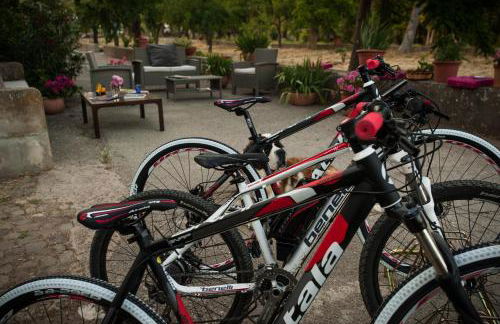 Feudo Galefona - Foto 70