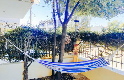 Studio Ocean - Foto 22