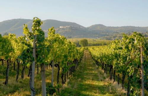 Casa Amiata 2 - Foto 31