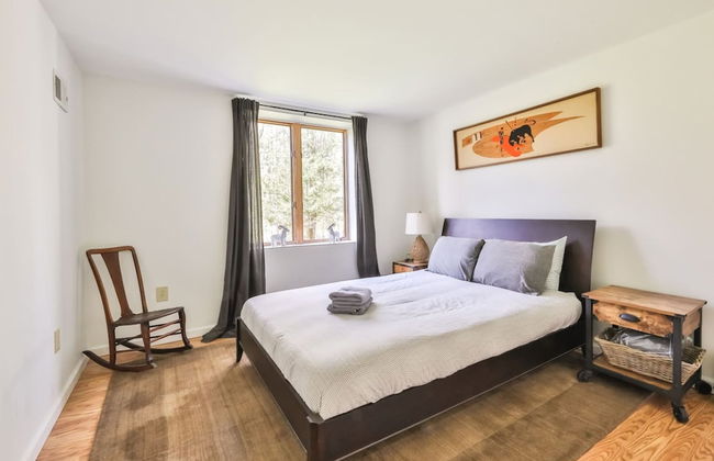 Hunter Mountain Ski House - Tesla Charger - Foto 37