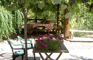 A Lagosta Perdida - Foto 20