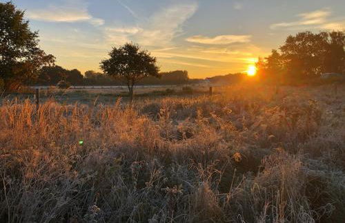 Meridiamus 1 - Ferienhäuschen in Boddennähe - Foto 15