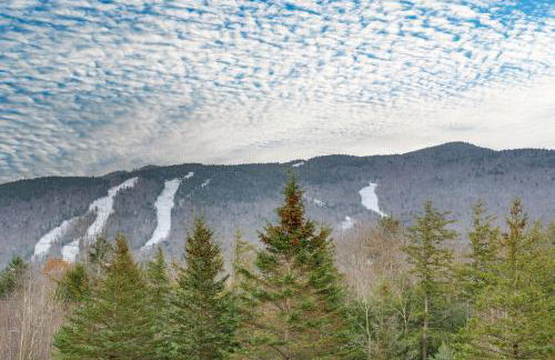 Relaxing Lincoln Condo with Fireplace and Shuttle - Foto 38