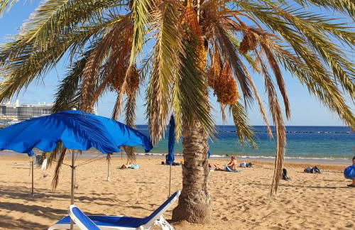 San Andres Beach View Apartment - Foto 8