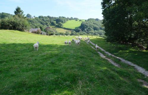 Ty Farm Retreat - Farmhouse Studio - Mountain View - Foto 17