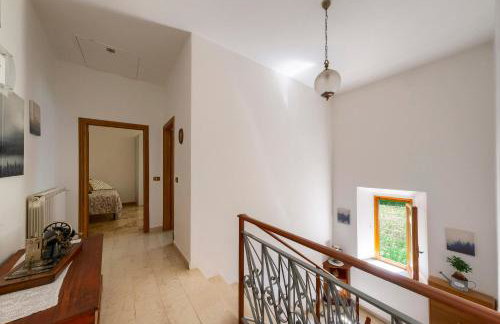 L'aia dì Trippa all'Aria Mugello - Photo 13