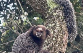 Villa SKY Pontal a 150m da praia l Refúgio Exclusivo - Photo 39