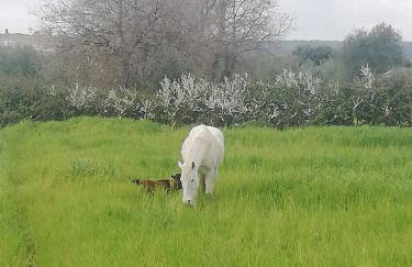 Le Grotte di Sileno - Foto 38