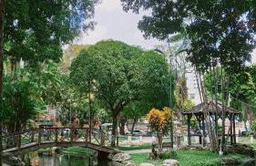 Studio no eixo central de Belém - Foto 22