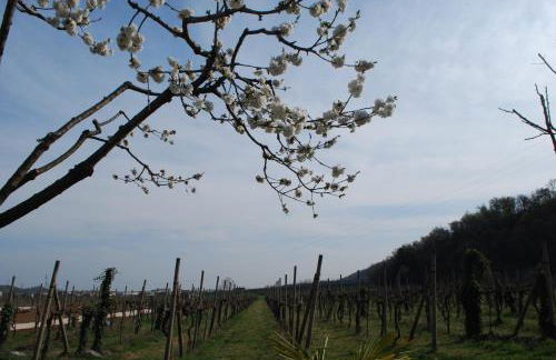 Agriturismo il Rovere - Foto 18