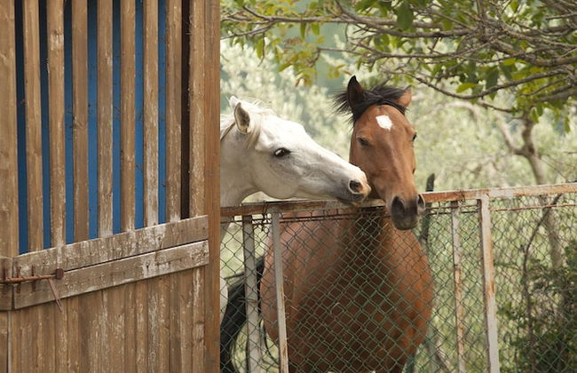 Agriturismo Ripaiani - Foto 43