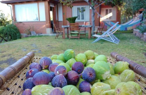 Panoramic Sea view Cosy sicilian house with garden - Foto 39