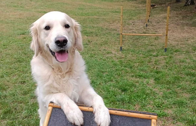 Apartaments Giberga - Foto 69