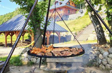 Sowiogórska Ostoja - Foto 9