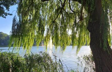 Apartment Seeblick - Foto 6