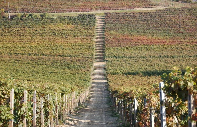 Agriturismo Bric di Gai - Foto 24