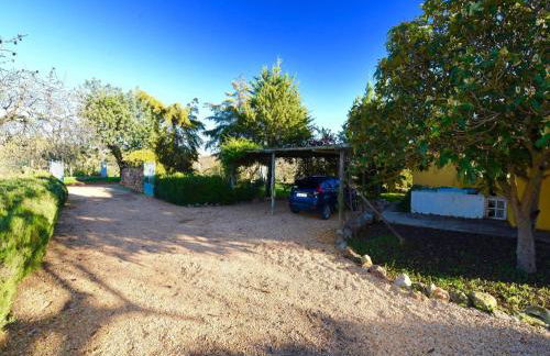 Attractive Portuguese Farm With Modern Decoration - Foto 61