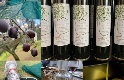 SetterHouseAgriHotel - Photo 68