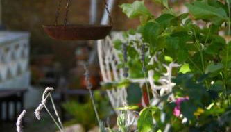 Hospedería de La Corte - Foto 3