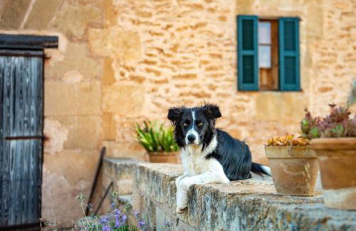 Finca Sos Ferres D'en Morey - Foto 70