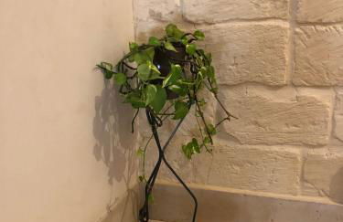 MAYU'S HOUSE , Dimora nel centro storico di Lecce - Foto 49