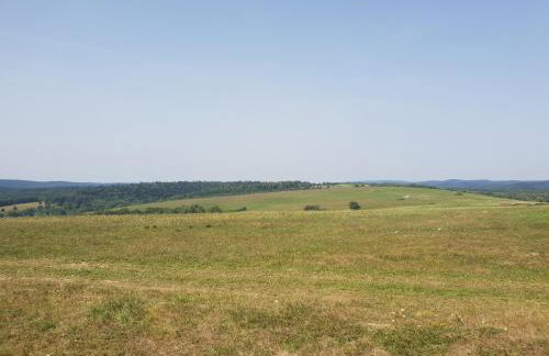 Przystanek Letnisko - Foto 41