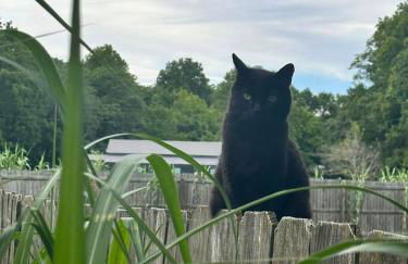 Legacy Barn on Sugar Creek - Foto 13