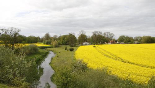 Apartment im ART.Quartier - Foto 2