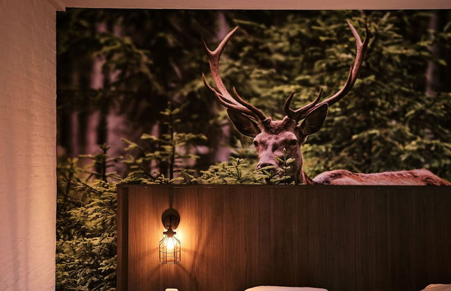 Vakantiepark De Bosrand - Foto 18