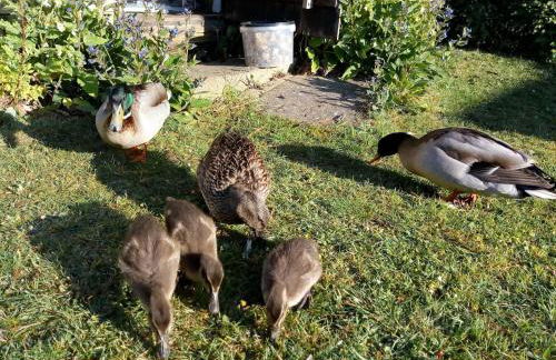 The Patch at Snettisham Beach - Foto 32