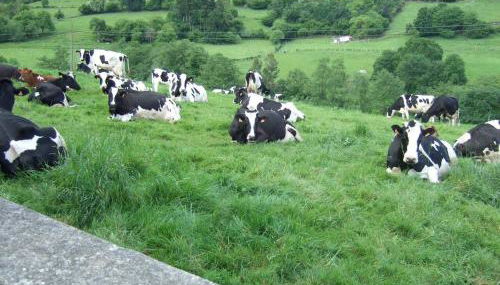 casa rural de Gonzalo Sariego Asturias - Foto 3
