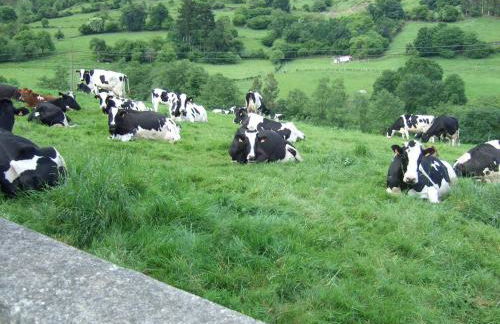 casa rural de Gonzalo Sariego Asturias - Foto 3
