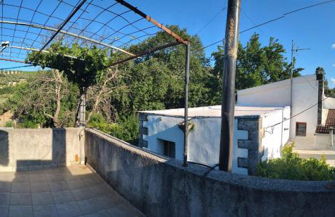 Kitharida garden - Foto 6