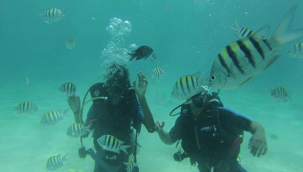 Descubriendo el fondo