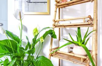 Jungle Fever by Jungle House Walk to High Street Near Convention Center OSU & Nationwide Arena Downtown & Short North 5 800 Reviews Private Parking - Foto 40