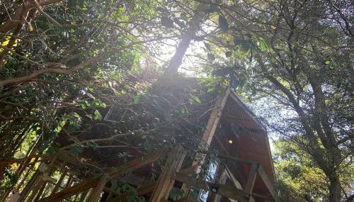 Modern Treehouse Rental with Pool for Glamping in Florida - Foto 4