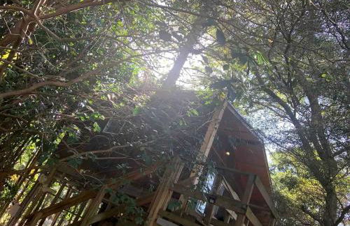 Modern Treehouse Rental with Pool for Glamping in Florida - Foto 4