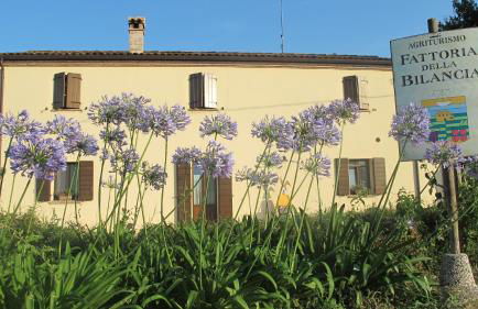 FATTORIA DELLA BILANCIA - Foto 4