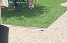 Olivar de Gines a un paso de Sevilla - Foto 46