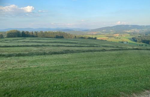 Apartmentanlage am Kellerberg - Photo 54